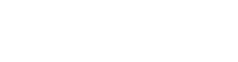 Netvisor